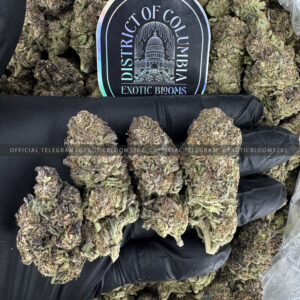 Purple Oreoz Strain Exotic Blooms virginia weed delivery