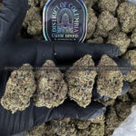 Brain Freeze Strain Exotic Blooms virginia weed delivery