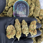 Durban Poison sativa cannabis strain – available for weed delivery in DC, Virginia, and Richmond via Exotic Blooms