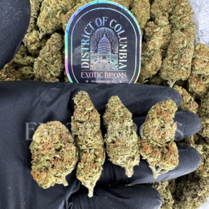 Durban Poison sativa cannabis strain – available for weed delivery in DC, Virginia, and Richmond via Exotic Blooms