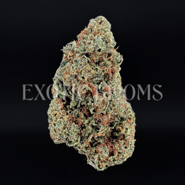 Durban Poison sativa cannabis strain – available for weed delivery in DC, Virginia, and Richmond via Exotic Blooms