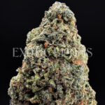 Durban Poison sativa cannabis strain – available for weed delivery in DC, Virginia, and Richmond via Exotic Blooms