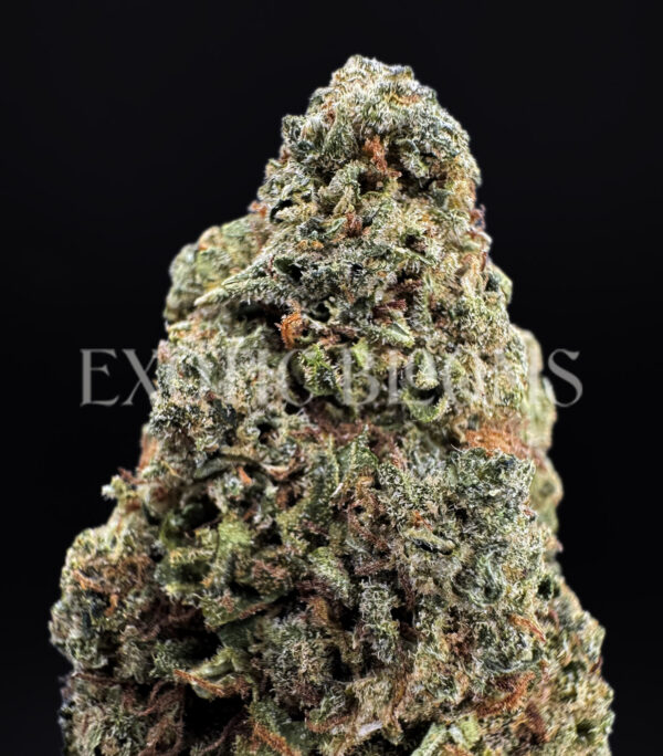 Durban Poison sativa cannabis strain – available for weed delivery in DC, Virginia, and Richmond via Exotic Blooms