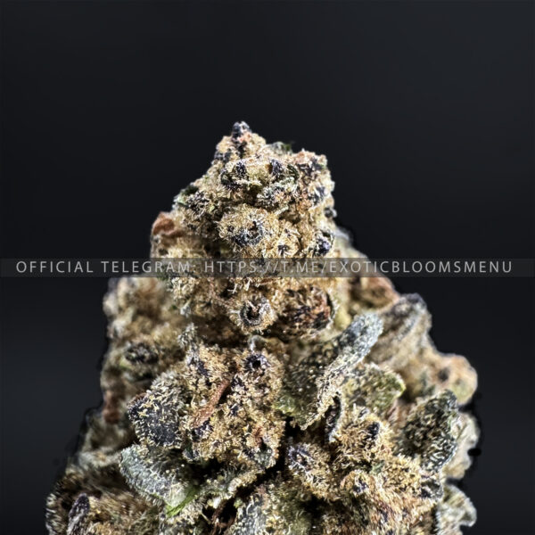 Alien Cookies Strain Exotic Blooms virginia weed delivery