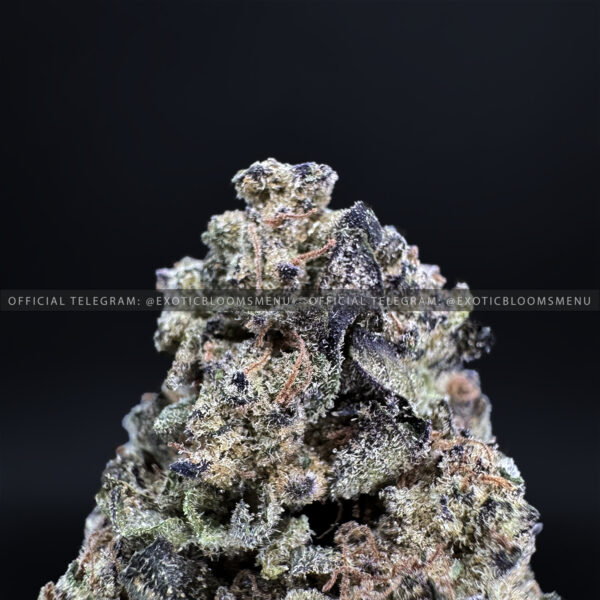 Red Oreoz Strain Exotic Blooms virginia weed delivery