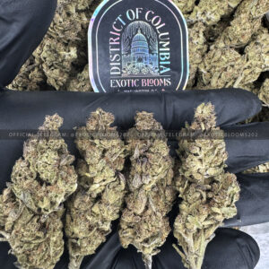 Purple Ice Strain Exotic Blooms rva weed delivery