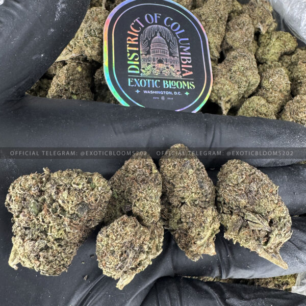 Rainbow Road Strain Exotic Blooms dmv weed delivery