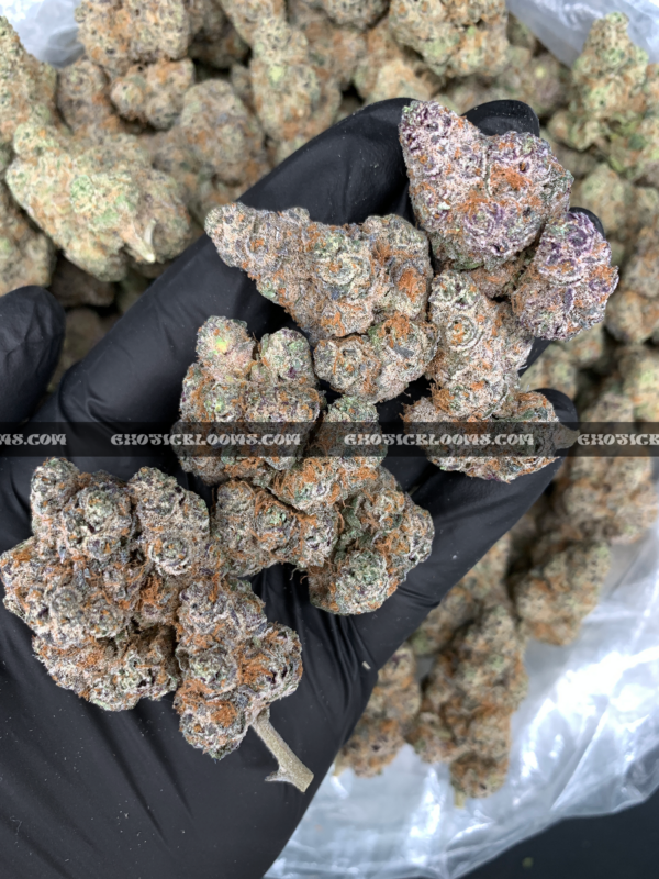 Grape Gas Strain Washington DC Virginia Maryland