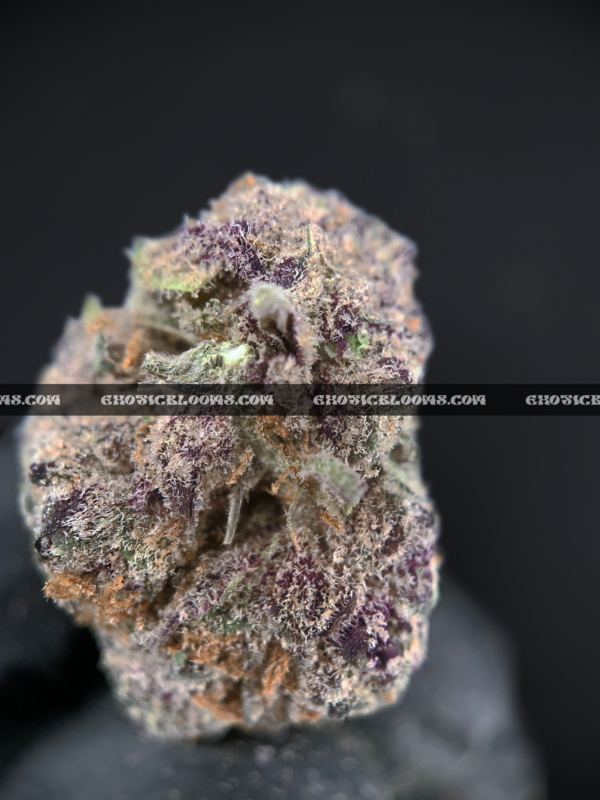 Grape Gas Strain Washington DC Virginia Maryland