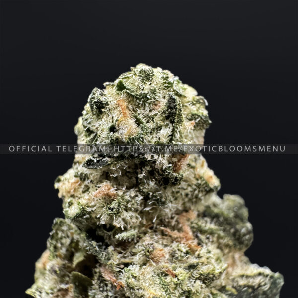 Green Apple OG Strain Exotic Blooms dmv weed delivery