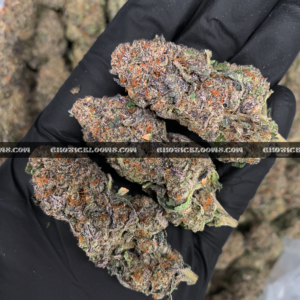 OGKB Strain OG Kush Breath Washington DC Virginia