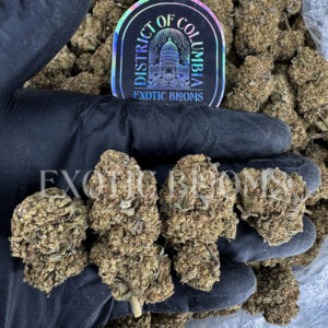 Oreoz indica cannabis strain – available for weed delivery in DC, Virginia, and Richmond via Exotic Blooms