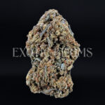 Oreoz indica cannabis strain – available for weed delivery in DC, Virginia, and Richmond via Exotic Blooms