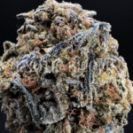 Oreoz indica cannabis strain – available for weed delivery in DC, Virginia, and Richmond via Exotic Blooms