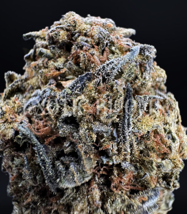 Oreoz indica cannabis strain – available for weed delivery in DC, Virginia, and Richmond via Exotic Blooms