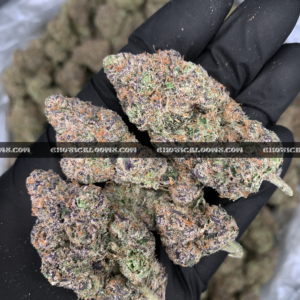 Pink Acai Strain Washington DC Virginia