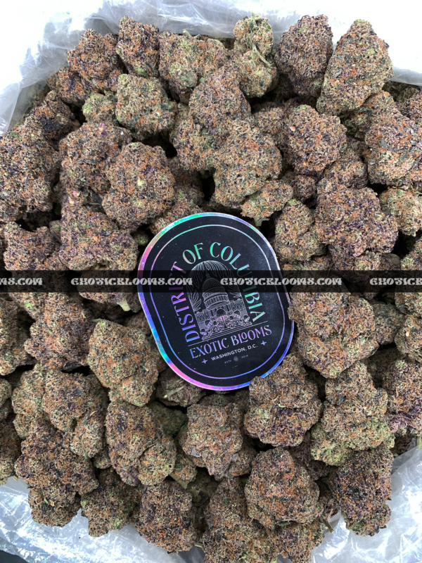 Purple Diesel Strain Washington DC Virginia Maryland