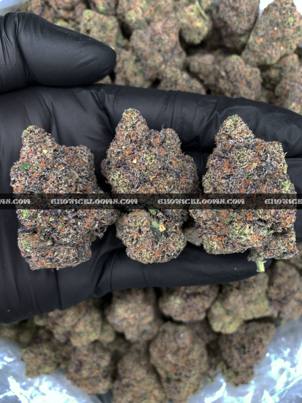 Purple Diesel Strain Washington DC Virginia Maryland