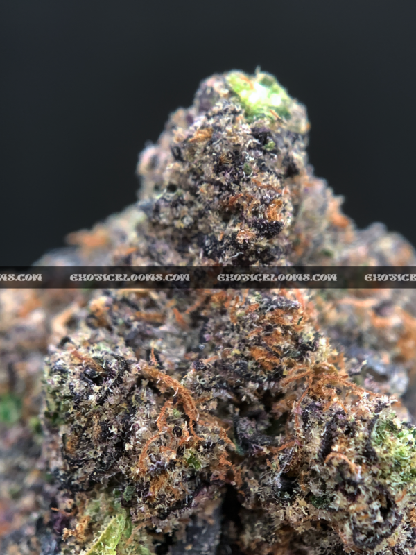 Purple Diesel Strain Washington DC Virginia Maryland