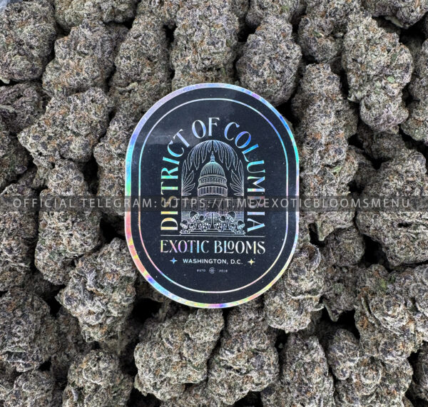 Tropical Sherbet Strain Exotic Blooms washington dc weed delivery