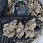 Alien Blackout Strain Exotic Blooms dmv weed delivery