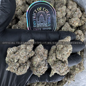 Alien Blackout Strain Exotic Blooms dmv weed delivery