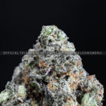 Alien Blackout Strain Exotic Blooms virginia weed delivery