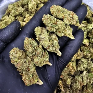 Cherry Gelato sativa hybrid cannabis strain 24–26% THC available for weed delivery in Washington DC Virginia Maryland Richmond VA