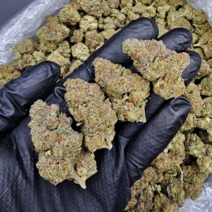 Cherry Gelato sativa-dominant hybrid cannabis flower with 22-26% THC available in Washington DC, Virginia, Maryland, and Richmond VA