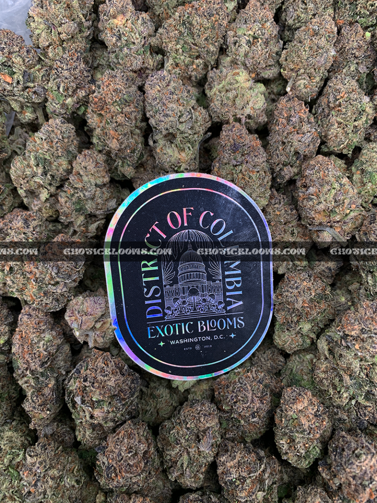 Permanent Z Private Reserve *OUT OF STOCK* - Exotic Blooms