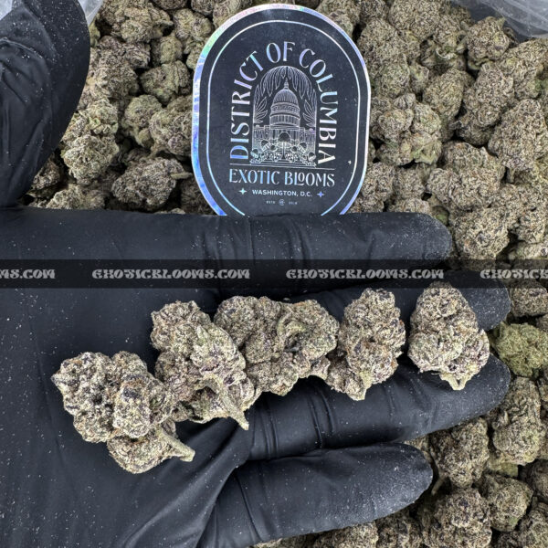 Rainbow Jelly Strain Exotic Blooms dmv weed delivery