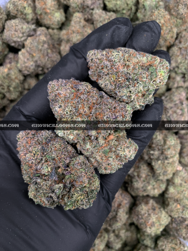 Vibrant Rainbow Candy cannabis strain buds showcasing a balanced 50/50 hybrid (Dancehall x Blueberry) with dense trichomes, a tropical candy flavor reminiscent of Tropical Starburst, and an aroma like a lively candy shop—perfect for DC and VA weed delivery.