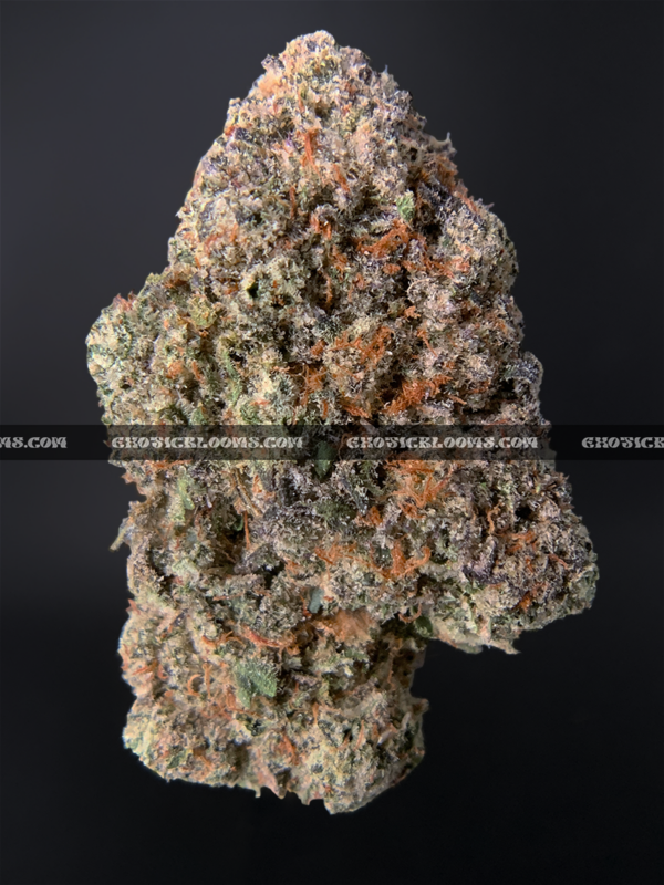Vibrant Rainbow Candy cannabis strain buds showcasing a balanced 50/50 hybrid (Dancehall x Blueberry) with dense trichomes, a tropical candy flavor reminiscent of Tropical Starburst, and an aroma like a lively candy shop—perfect for DC and VA weed delivery.