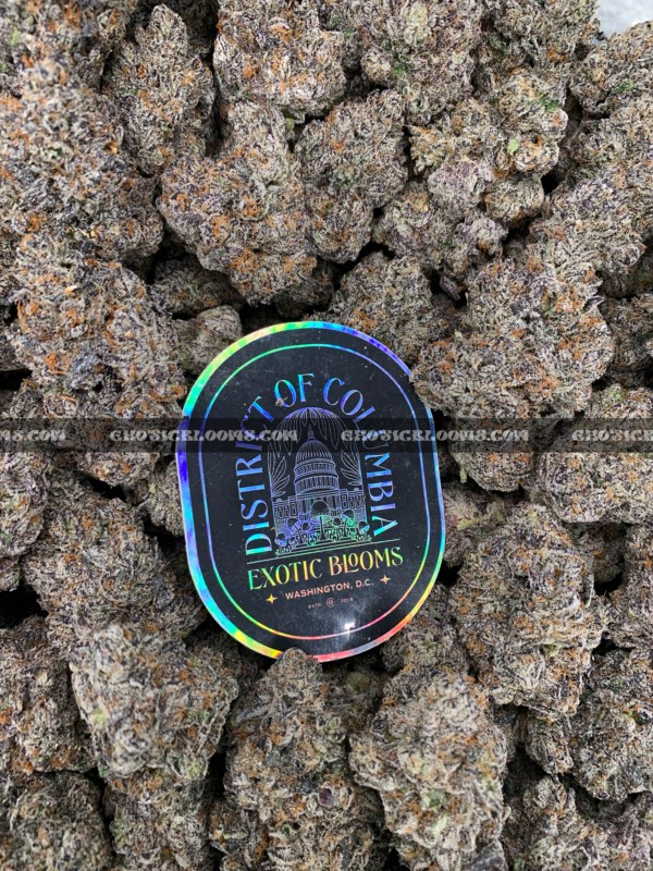 Russian Crème strain, a premium sativa-dominant hybrid with a sweet vanilla flavor and high THC content, available for delivery across Virginia. Order now through Exotic Blooms for exclusive access to this rare, relaxing cannabis strain.