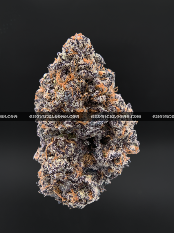 Russian Crème strain, a premium sativa-dominant hybrid with a sweet vanilla flavor and high THC content, available for delivery across Virginia. Order now through Exotic Blooms for exclusive access to this rare, relaxing cannabis strain.