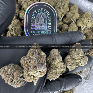 Sugar Candy Strain Exotic Blooms virginia weed delivery