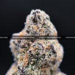 Watermelon Punch Strain Washington DC Virginia Maryland
