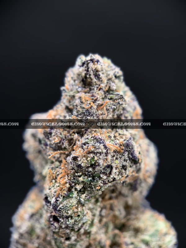 Watermelon Punch Strain Washington DC Virginia Maryland