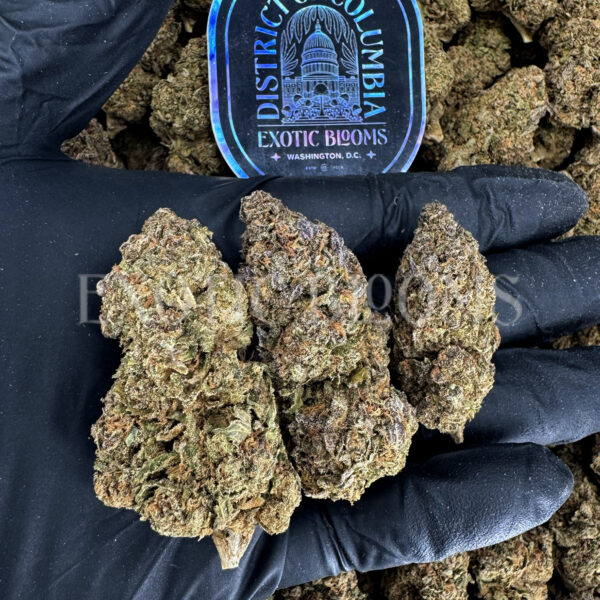 Durban Zkittlez Washington DC Virginia