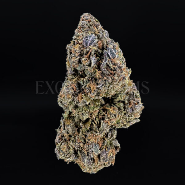 Durban Zkittlez Washington DC Virginia