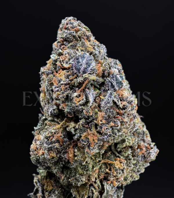 Durban Zkittlez Washington DC Virginia