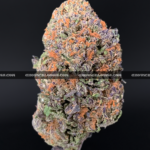 Close-up of Biscotti Sundae strain featuring super dense forest green buds with orange hairs and a coating of golden-white trichomes, available for weed delivery in Washington, DC, and Virginia. The buds give off a dessert-like aroma of chocolate, citrus, and gassy diesel.