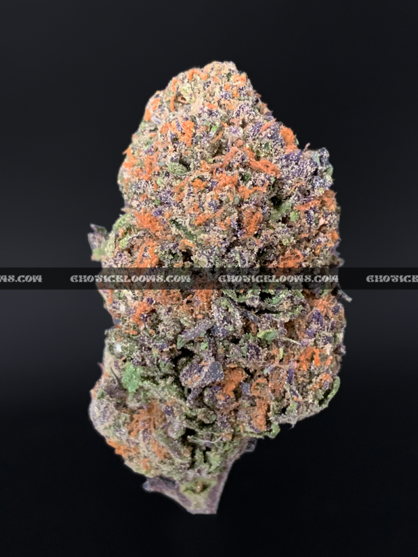 Close-up of Biscotti Sundae strain featuring super dense forest green buds with orange hairs and a coating of golden-white trichomes, available for weed delivery in Washington, DC, and Virginia. The buds give off a dessert-like aroma of chocolate, citrus, and gassy diesel.