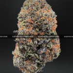 Close-up of Biscotti Sundae strain featuring super dense forest green buds with orange hairs and a coating of golden-white trichomes, available for weed delivery in Washington, DC, and Virginia. The buds give off a dessert-like aroma of chocolate, citrus, and gassy diesel.