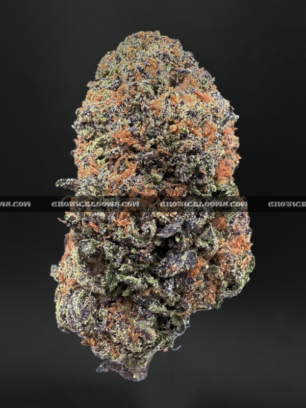 Close-up of Biscotti Sundae strain featuring super dense forest green buds with orange hairs and a coating of golden-white trichomes, available for weed delivery in Washington, DC, and Virginia. The buds give off a dessert-like aroma of chocolate, citrus, and gassy diesel.
