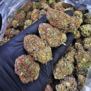Bubba Kush indica strain 22–25% THC available in Washington DC, Virginia, Maryland, and Richmond VA