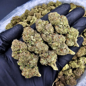 Candy Runtz hybrid cannabis strain, 24–28% THC, featuring frosty green buds for Exotic Blooms customers in Washington DC, Virginia, Maryland, and Richmond VA.