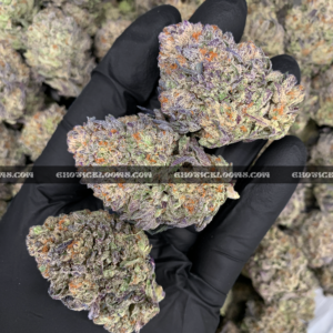 Close-up of Death Bubba strain featuring dark forest green buds with deep purple undertones, fiery orange hairs, and a thick frosty layer of sandy-white trichomes, available for DC and Virginia weed delivery. The buds emit a pungent earthy pine aroma with hints of spicy lemon and musk.