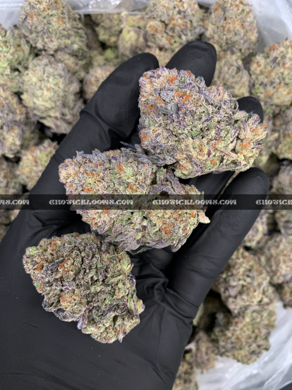 Close-up of Death Bubba strain featuring dark forest green buds with deep purple undertones, fiery orange hairs, and a thick frosty layer of sandy-white trichomes, available for DC and Virginia weed delivery. The buds emit a pungent earthy pine aroma with hints of spicy lemon and musk.