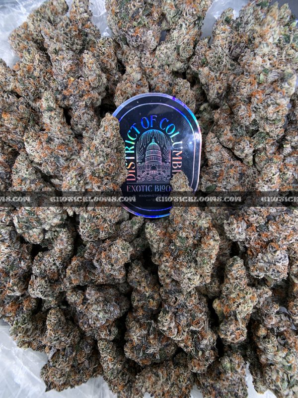 "Close-up of French Lotus strain featuring dense, trichome-coated purple buds with orange hairs, available for weed delivery in Virginia. This rare hybrid offers a citrusy, gassy aroma with earthy undertones and high THC potency, ideal for experienced users seeking premium flower on the East Coast.
